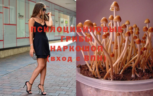 скорость Балахна