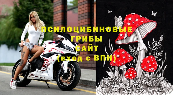 бутират Богданович