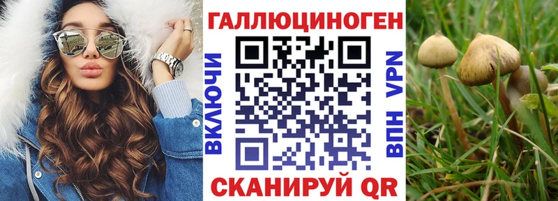 Купить где  Тольятти  Галлюциногенные грибы мухоморы 